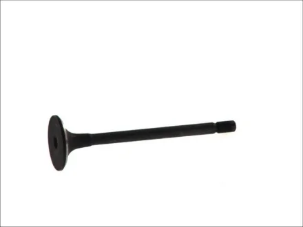 Впускний клапан FRECCIA R6239/SNT