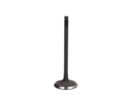 Впускний клапан FRECCIA R6294/SNT