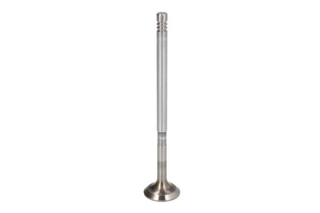 Впускний клапан FRECCIA R6304/SCR
