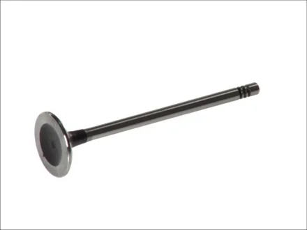 Впускний клапан FRECCIA R6441/S