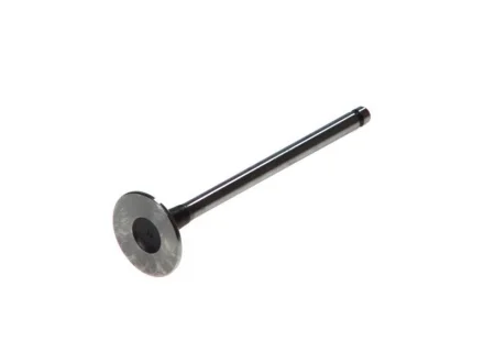 Клапан ГБЦ FRECCIA R6462/SCR