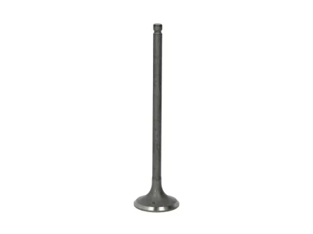 Випускний клапан FRECCIA R6541/RNT