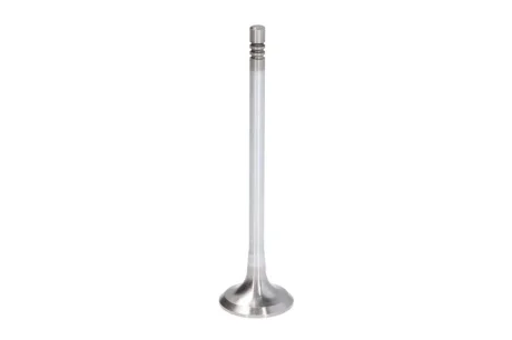 Впускний клапан FRECCIA R6771SCR