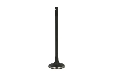 Впускний клапан FRECCIA R6862SNT