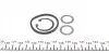 Ремкомплект цилиндра тормозного (главного) DB 207-310 77-96 (d=23,8mm) ATE FRENKIT 123067 (фото 3)