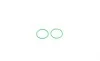 Ремкомплект суппорта (заднего) Citroen ZX/Peugeot 205/206/306 86- (d=30mm) (+поршень) (Bendix) FRENKIT 230905 (фото 9)