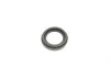 Ремкомплект суппорта (переднего) Audi 80/100/Renault Espace III -02 (d=40/45mm) (+2 поршня) (Trw) FRENKIT 240903 (фото 13)