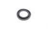 Ремкомплект супорта (переднього) MB S-class (W108/W109) -72 (d=42mm) (Ate) (+2 поршня) FRENKIT 242966 (фото 10)