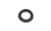 Ремкомплект супорта (заднього) Lexus IS 05-12/Toyota Mark XI/II 04- (d=43mm) (+поршень) (Advi) FRENKIT 243969 (фото 12)