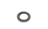 Ремкомплект суппорта (заднего) MB M-class (W166) 11- (d=44mm) (+поршень) (TRW) FRENKIT 244938 (фото 5)