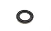 Ремкомплект супорта (переднього) Nissan Navara/NP300 01- (d=46mm)(+2 поршні) (Niss) FRENKIT 246910 (фото 5)