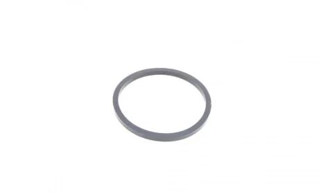 Ремкомплект супорта (заднього) Jeep Grand Cherokee 10- (d=48mm) (Ate) (+ поршень) FRENKIT 248822