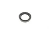 Ремкомплект суппорта (переднего) Fiat 500/Panda/Punto 93-11 (d=48mm) (Bendix) (+ поршень) FRENKIT 248914 (фото 7)