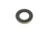 Ремкомплект супорта (заднього) Ford Transit V363 13- (d=54mm) (Bosch) (+поршень с механизмом) FRENKIT 254856 (фото 10)