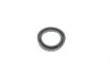 Ремкомплект суппорта (переднего) Mazda 323/MX-3 89-98 (d=54mm) (Sumitomo) (+поршень) FRENKIT 254929 (фото 9)