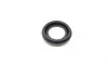 Ремкомплект суппорта (заднего) Renault Clio 05- (d=34mm) (+поршень/направляющая)(Trw) FRENKIT 734814 (фото 3)