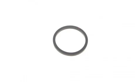 Ремкомплект супорта (заднього) Opel Astra K 15- (d=36mm) (+поршень/направляюча) (Trw) FRENKIT 736094