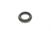 Ремкомплект суппорта (заднего) Subaru (All) 07- (d=38mm) (Tokic)(+поршень.направляющая) FRENKIT 738104 (фото 8)