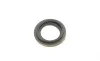 Ремкомплект супорта (заднього) Hyundai Terracan 01-06 (d=43mm) (+поршень) (Mando) (+поршень/направляюча) SuperKit FRENKIT 743373 (фото 5)