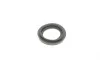Ремкомплект суппорта (заднего) Hyundai Santa Fe 05-12 (d=43mm) (Mando) (+поршень/направляющая) FRENKIT 743862 (фото 5)