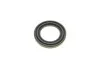 Ремкомплект суппорта (заднего) Hyundai Terracan 01-06 (d=43mm) (Mando) (+поршень/направляющая) FRENKIT 743871 (фото 4)
