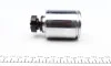 Поршенек суппорта (заднего) Ford Transit 2.2-2.4 TDCI 06-14 (L) (52x65mm) (Brembo) (с механизмом) FRENKIT K526501L (фото 4)