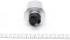 Поршень супорта (заднього) Iveco Daily IV 06-11 (60x65mm) (Brembo) (R) (з механізмом) FRENKIT K606501R (фото 2)