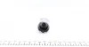 Поршенек суппорта (заднего) Peugeot 206 98- /306 93-02 (30x38,5mm) (Bendix) FRENKIT P303801 (фото 2)