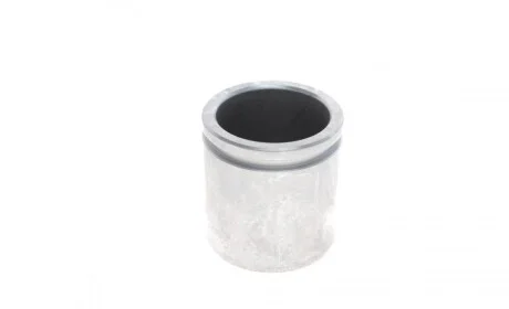 Поршенек суппорта (заднего) Land Rover Range Rover III 02-12 (45x48mm)(Bendix/Bosch) FRENKIT P454801