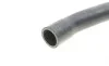 Патрубок радиатора (верхний) Audi A3/Seat Leon/VW Caddy III/Passat B6 1.6 03- Gates 05-2609 (фото 1)