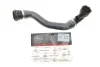 Патрубок радиатора (нижний) (R) BMW X5 (E53) 3.0i 00-06 Gates 05-2843 (фото 2)