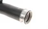 Патрубок інтеркулера (задній) (L) VW Golf V/Seat Leon 1.9TDI 03- Gates 09-0216 (фото 5)