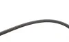Ремінь генератора VW Passat B3/B4 1.6-2.9 90-97 Gates 2PJ845 (фото 2)