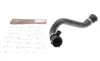 Патрубок системы охлаждения (нижний) (R) BMW 3 (E46) 2.0i-3.0i 00-06 M52/M54 Gates 3939 (фото 3)