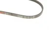 Ремінь генератора Fiat Palio Gates 3PK905 (фото 4)