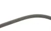 Ремень генератора Renault Clio 1.2/1.4 90-98/Nissan Micra/Note 1.0-1.4 03-12 Gates 4PK1070 (фото 3)