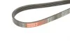 Ремень генератора Renault Clio 1.2/1.4 90-98/Nissan Micra/Note 1.0-1.4 03-12 Gates 4PK1070 (фото 5)