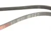 Ремінь генератора Ford Transit 2.5D -00 Gates 4PK1510 (фото 4)