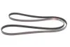 Ремень генератора Toyota Land Cruiser 100 4.2 TD 98-07 Gates 4PK1720 (фото 1)