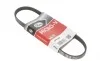 Ремінь генератора Fiat Doblo 1.4i 01- Gates 4PK668 (фото 1)