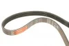 Ремінь генератора Hyundai i10/Fiat Doblo/Punto/Stilo 1.2/1.4 01- Gates 4PK675 (фото 4)