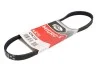 Ремінь генератора Ford Transit 2.0 TDCI 00-06 Gates 4PK738 (фото 2)