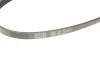 Ремень генератора Fiat Bravo/Hyundai Getz 1.1-1.4 92-09 Gates 4PK750 (фото 4)