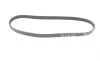Ремінь генератора Renault Laguna/Espace 3.5 02-/Honda Civic 1.6 88-01 Gates 4PK773 (фото 5)