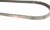 Ремень генератора BMW 3 (E90-E93) 04-12 M57 Gates 4PK790SF (фото 4)