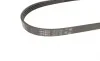 Ремень генератора Fiat Sedici/Honda Civic/Kia Pride/Opel Omega B 1.6-4.4 88-14 Gates 4PK803 (фото 3)