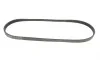 Ремень генератора Fiat Sedici/Honda Civic/Kia Pride/Opel Omega B 1.6-4.4 88-14 Gates 4PK803 (фото 5)