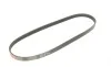 Ремень генератора Subaru Forester/Impreza/WRX 1.5-2.5 08- Gates 4PK806SF (фото 2)