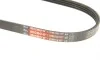 Ремень генератора BMW 1 (E87)/3 (E90/E91) 2.0D 04-11 Gates 4PK810SF (фото 5)