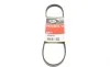 Ремень генератора Nissan Almera/Primera/Sunny 1.0-5.0 82- Gates 4PK813 (фото 1)